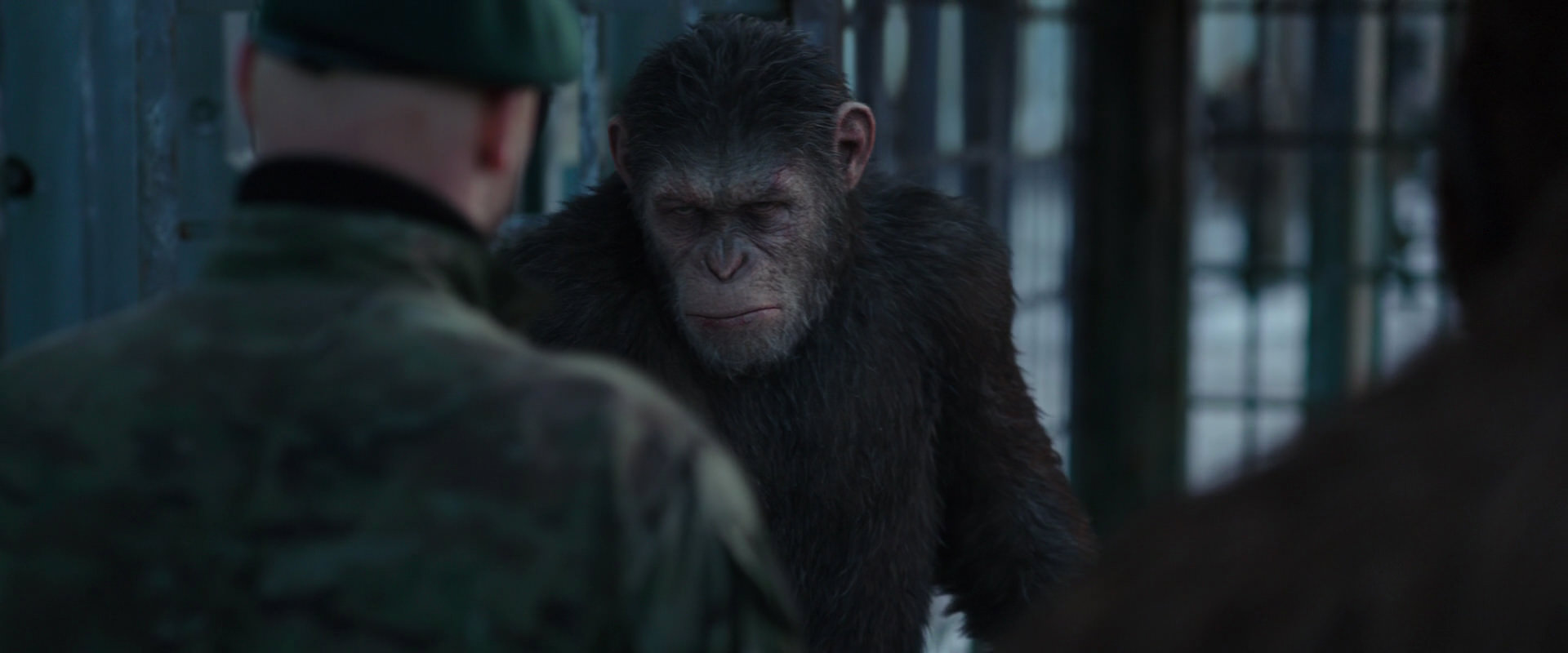War for the Planet of the Apes (2017) movie still 11575