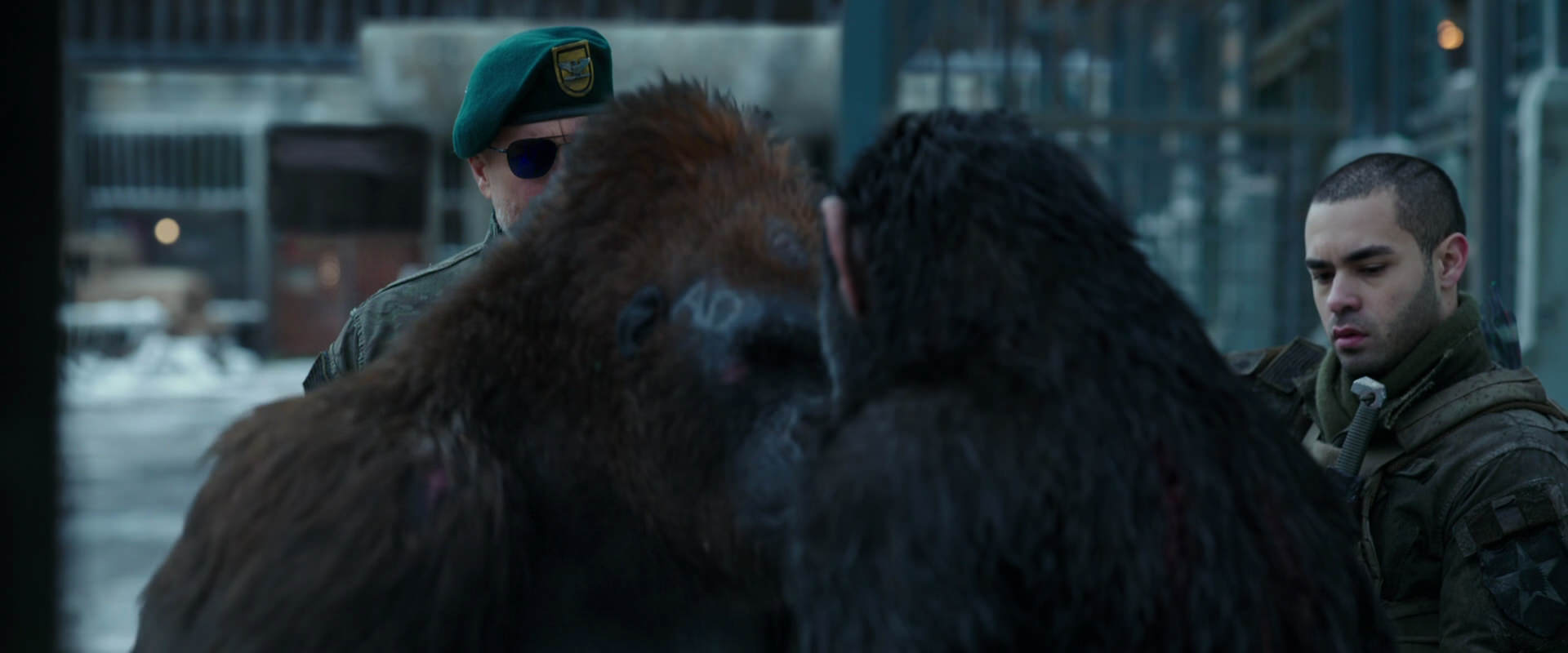 War for the Planet of the Apes (2017) movie still 11584