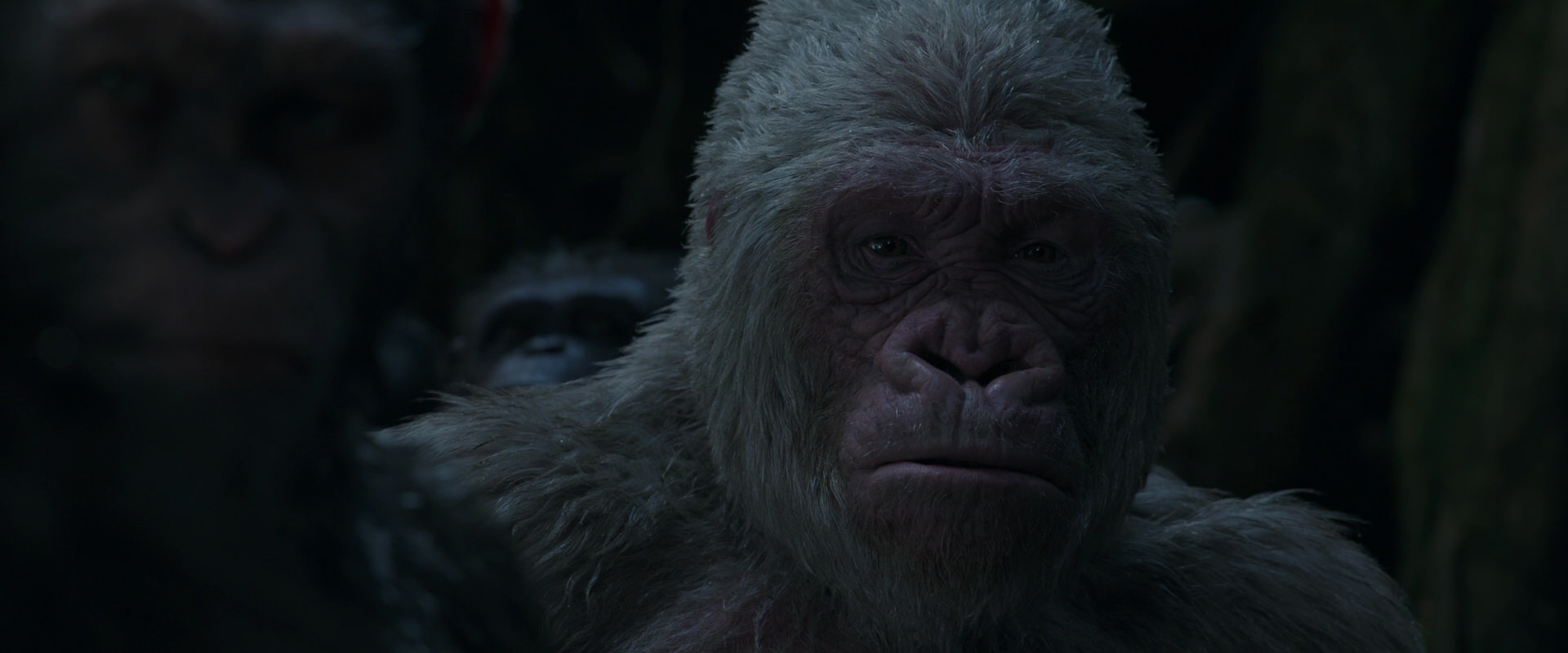 War for the Planet of the Apes (2017) movie still 1159