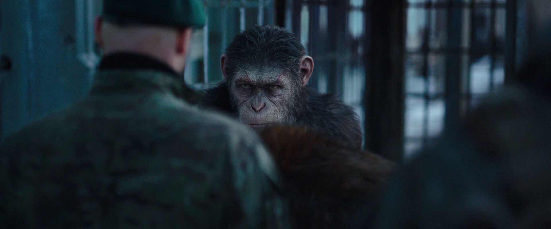 War for the Planet of the Apes (2017) movie still 11596