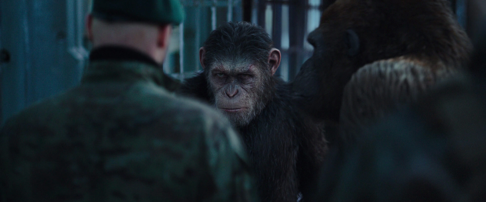War for the Planet of the Apes (2017) screencap 11598