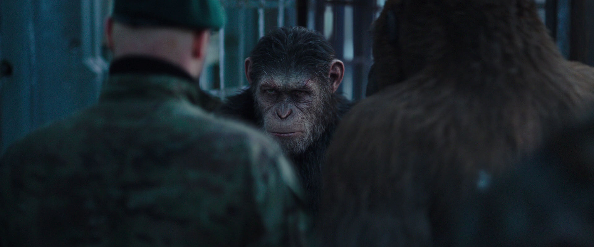 War for the Planet of the Apes (2017) movie still 11599