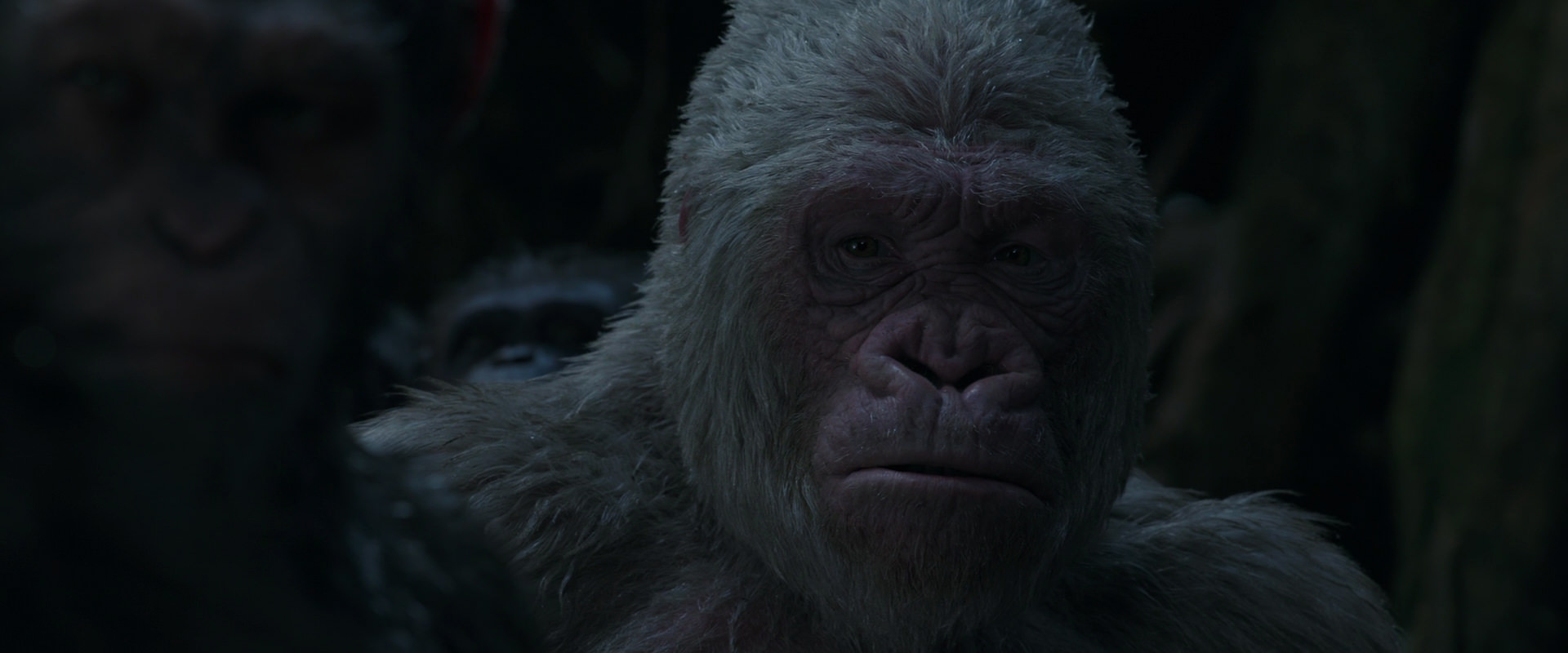 War for the Planet of the Apes (2017) HD screenshot 1160