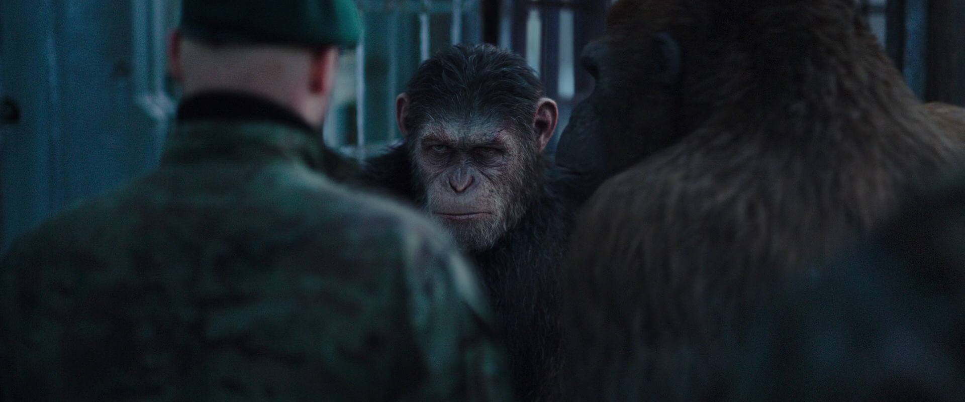 War for the Planet of the Apes (2017) HD screenshot 11600
