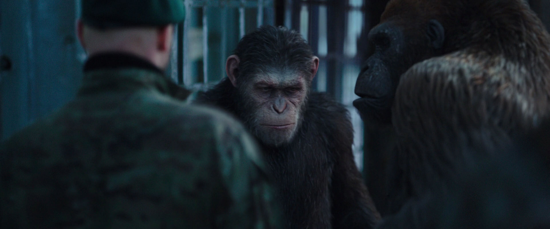 War for the Planet of the Apes (2017) screencap 11601
