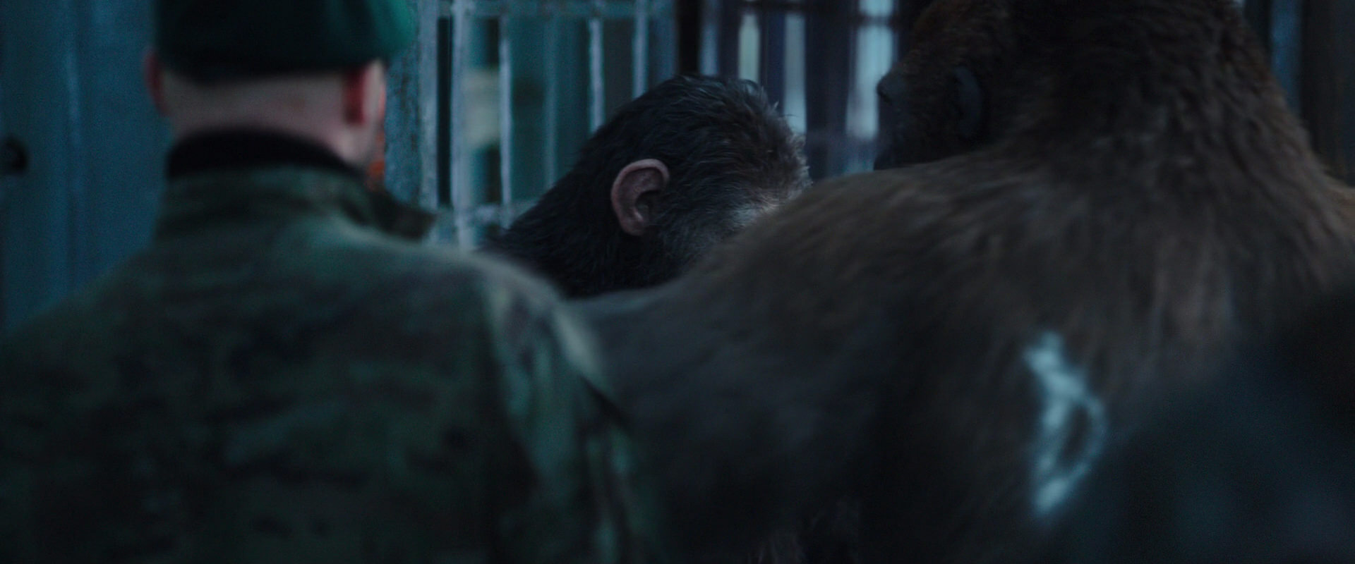 War for the Planet of the Apes (2017) movie still 11602