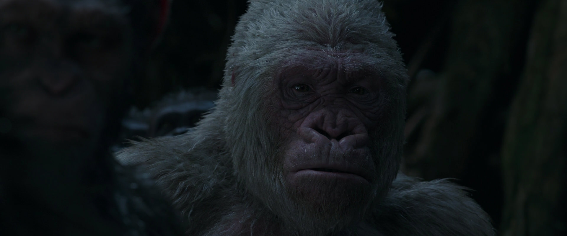War for the Planet of the Apes (2017) screencap 1161