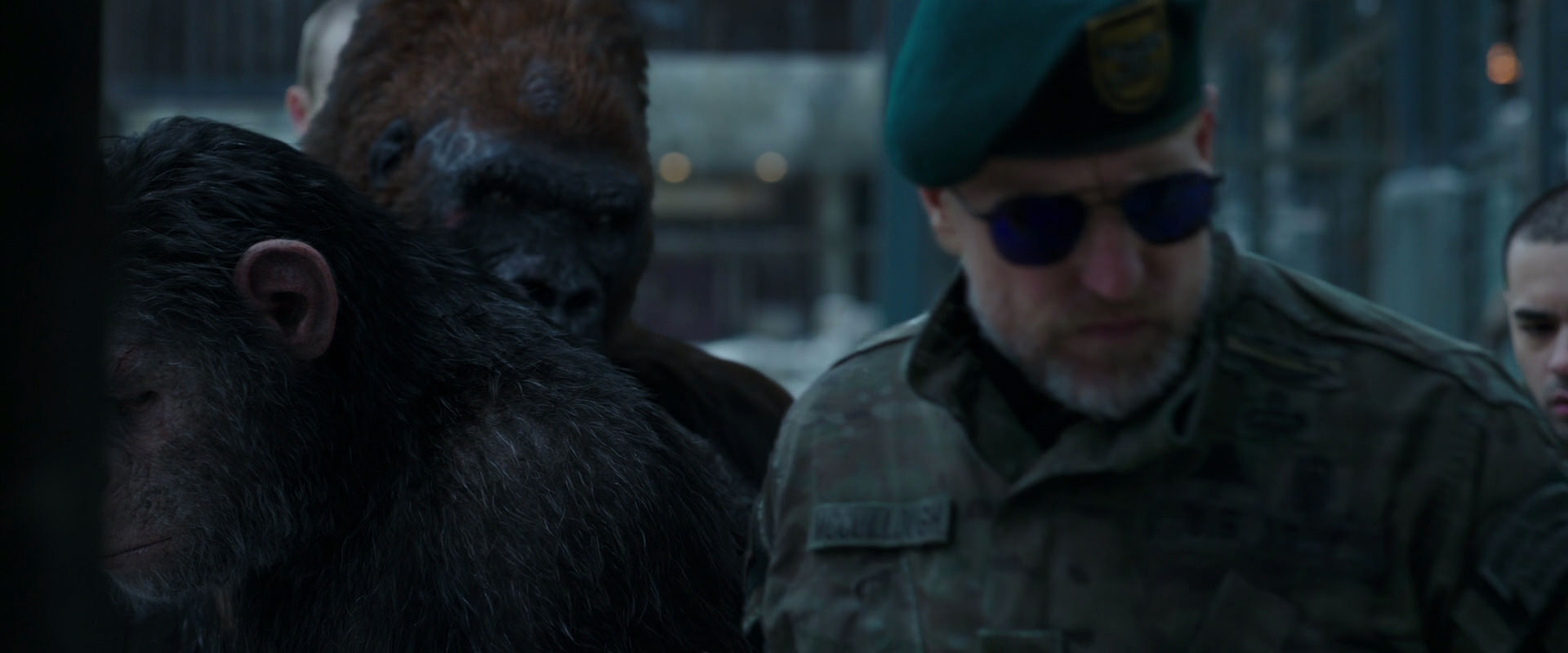War for the Planet of the Apes (2017) HD screenshot 11612