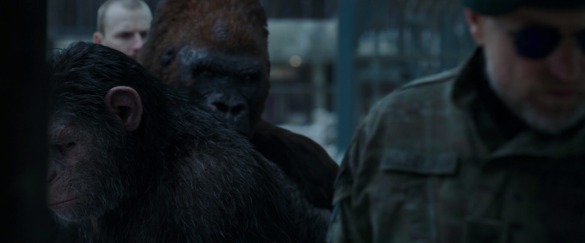 War for the Planet of the Apes (2017) screencap 11613