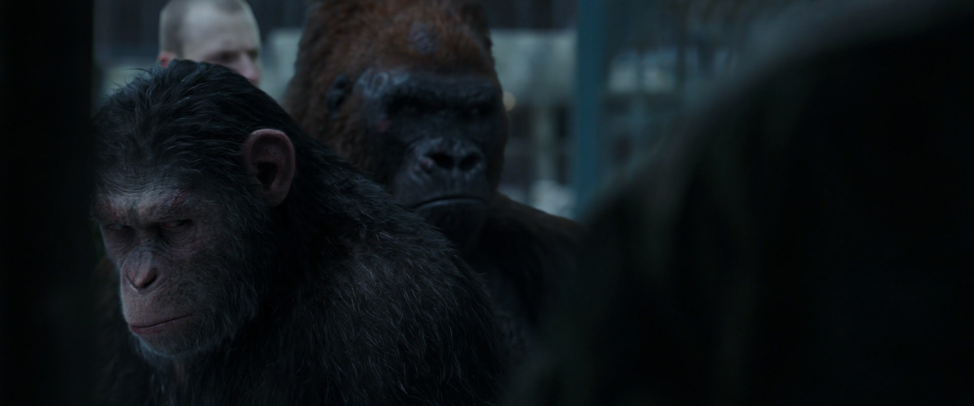War for the Planet of the Apes (2017) HD screenshot 11615