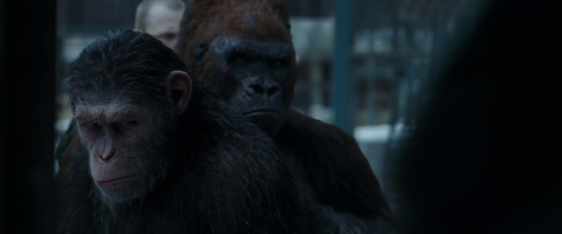 War for the Planet of the Apes (2017) screencap 11616