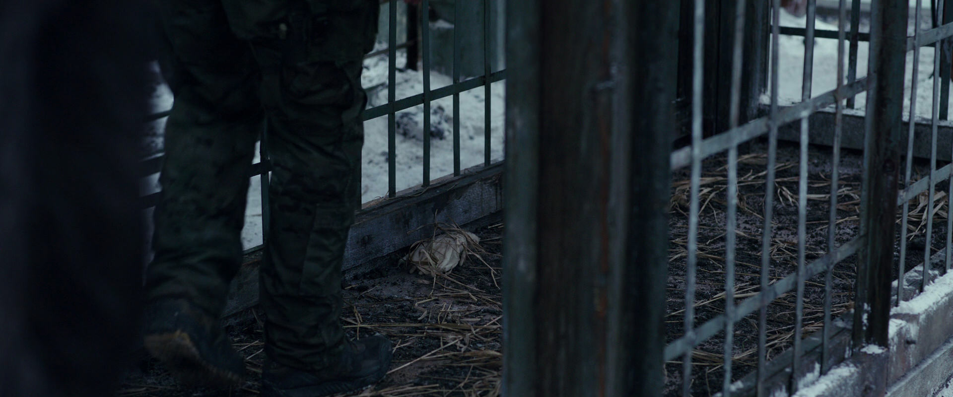 War for the Planet of the Apes (2017) movie still 11617