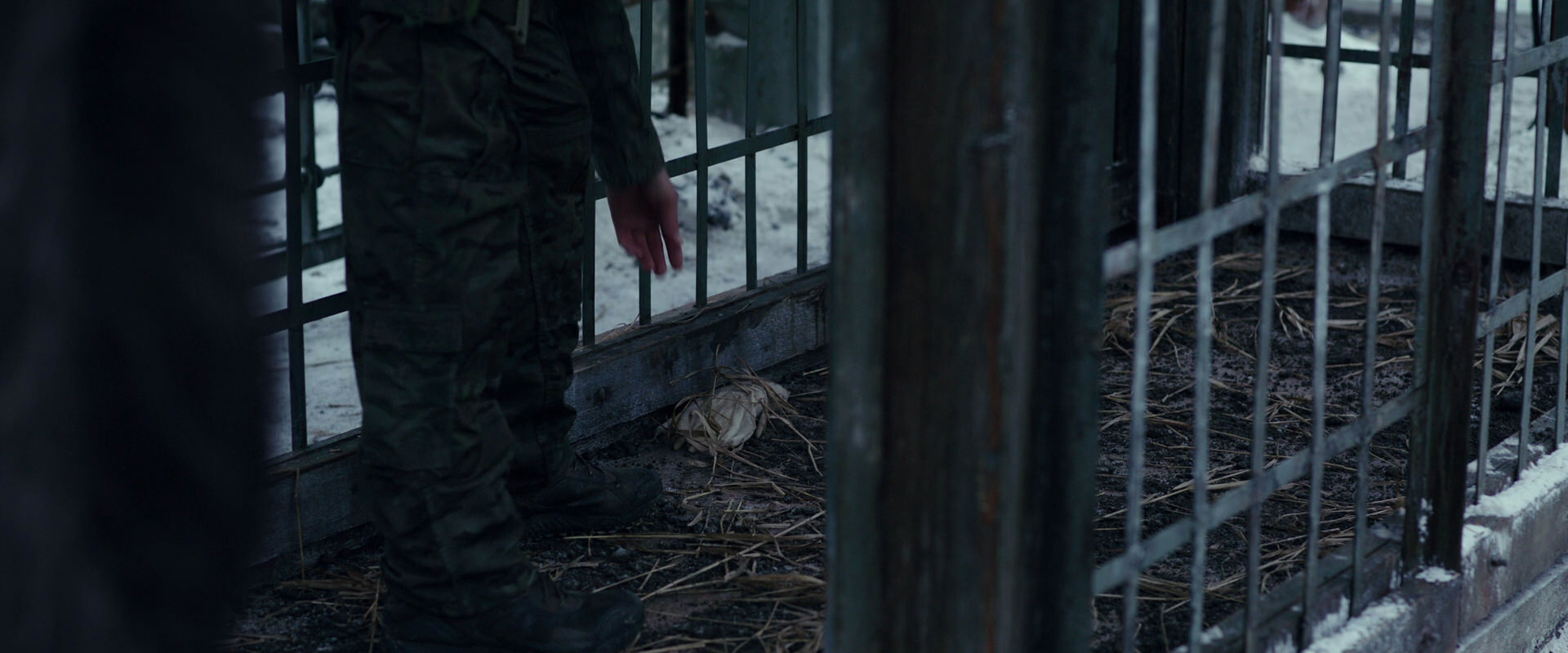 War for the Planet of the Apes (2017) screencap 11619