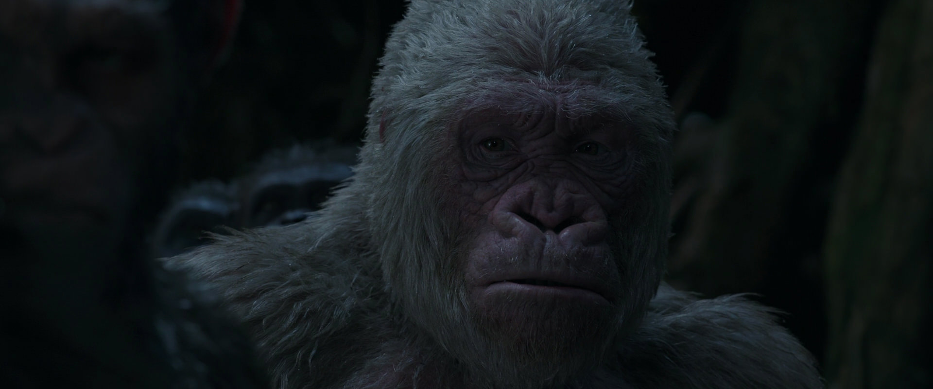 War for the Planet of the Apes (2017) movie still 1162