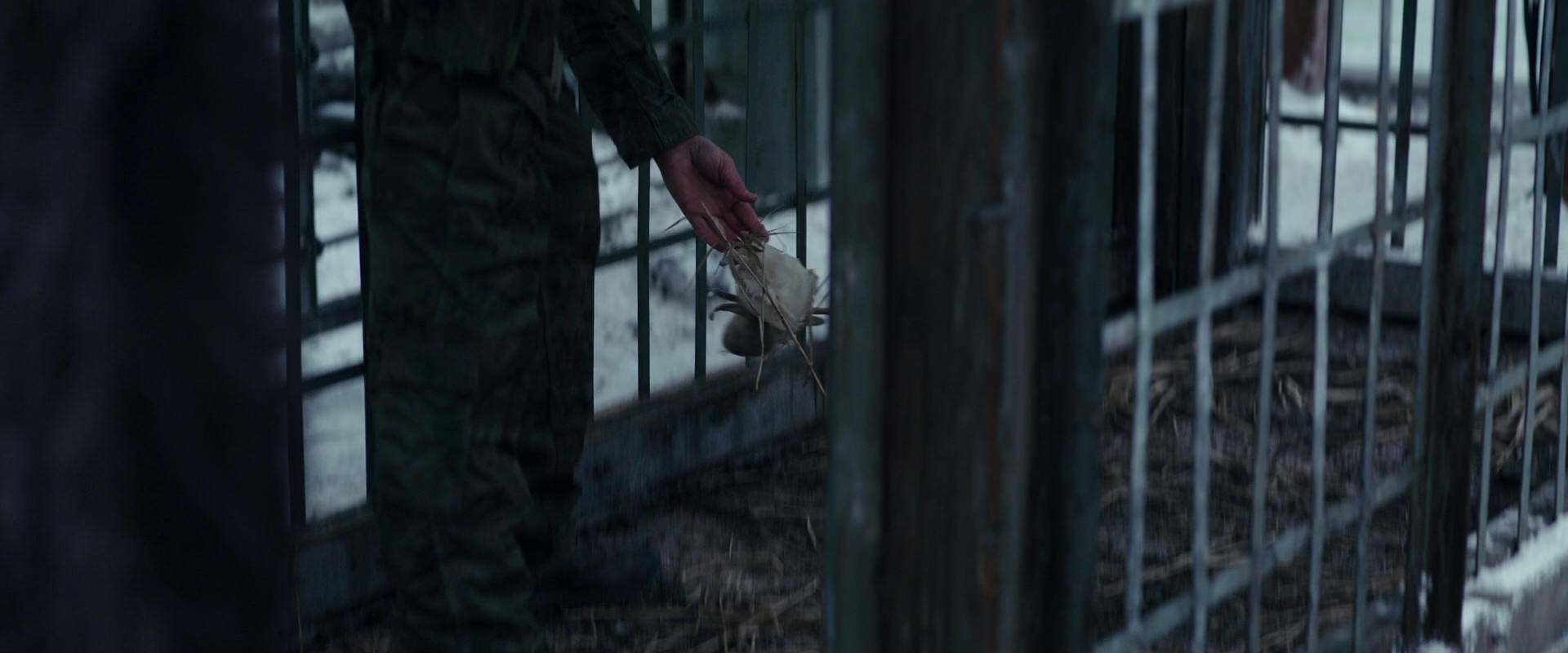 War for the Planet of the Apes (2017) screencap 11622