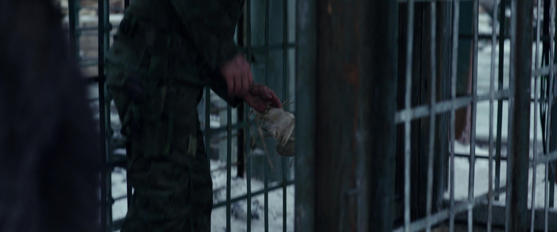 War for the Planet of the Apes (2017) movie still 11623