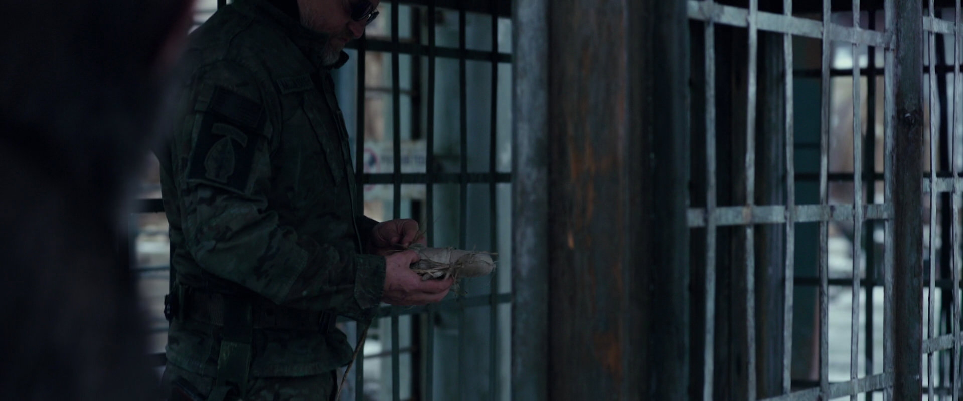War for the Planet of the Apes (2017) screencap 11625