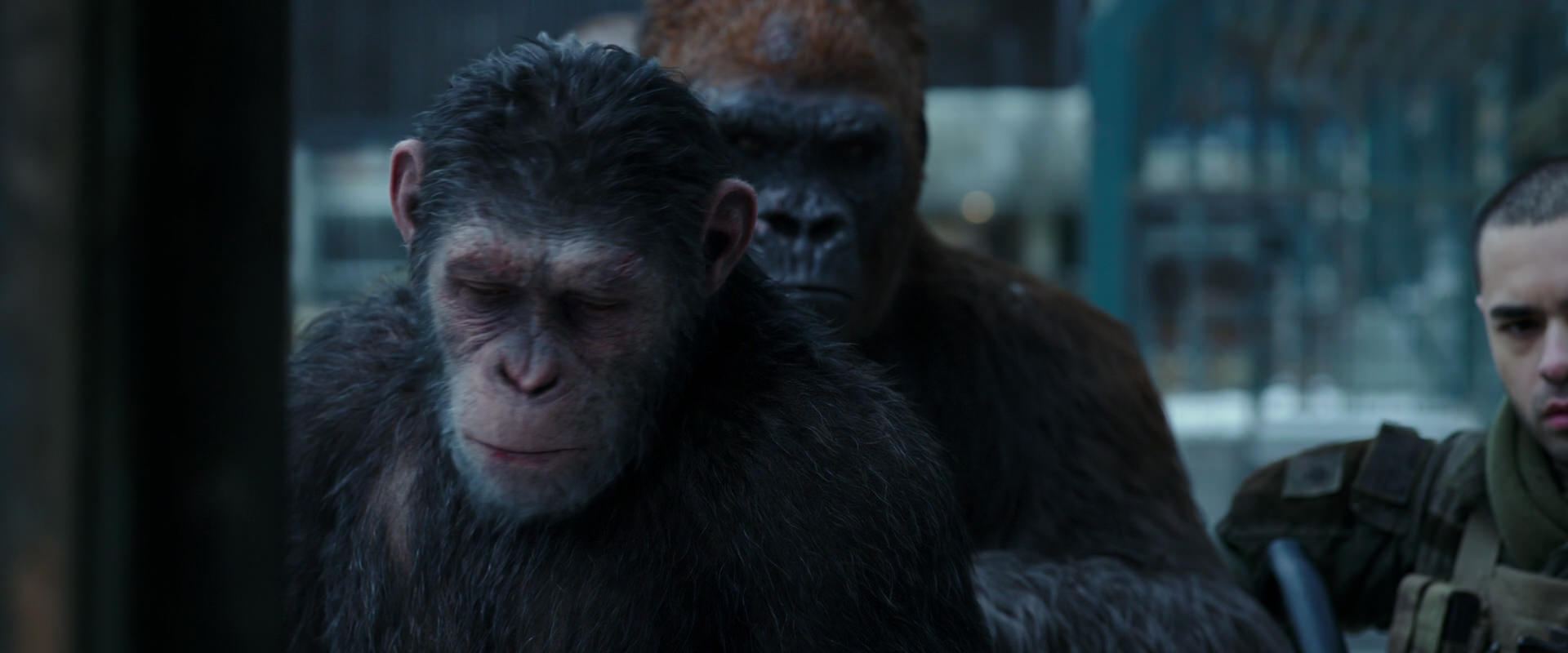War for the Planet of the Apes (2017) HD screenshot 11627