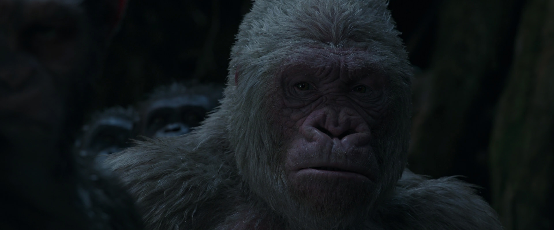 War for the Planet of the Apes (2017) HD screenshot 1163