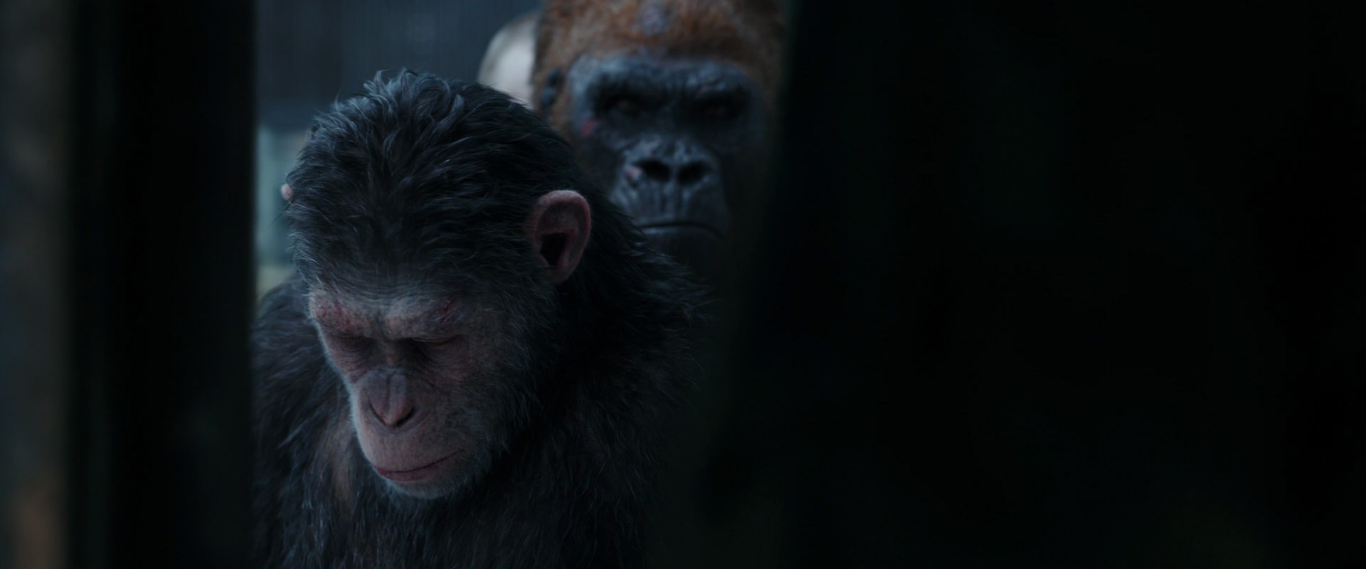 War for the Planet of the Apes (2017) HD screenshot 11630
