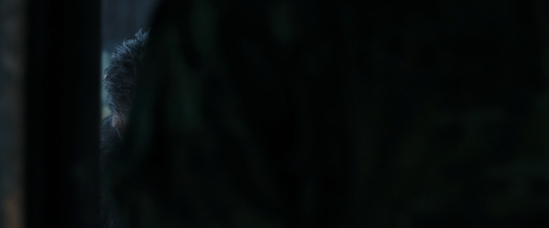 War for the Planet of the Apes (2017) screencap 11631