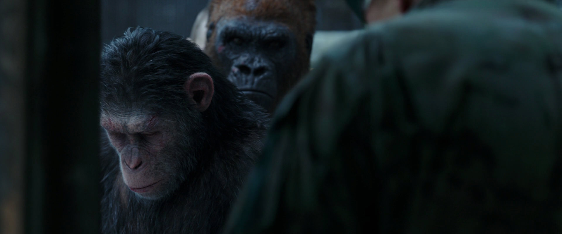 War for the Planet of the Apes (2017) movie still 11632