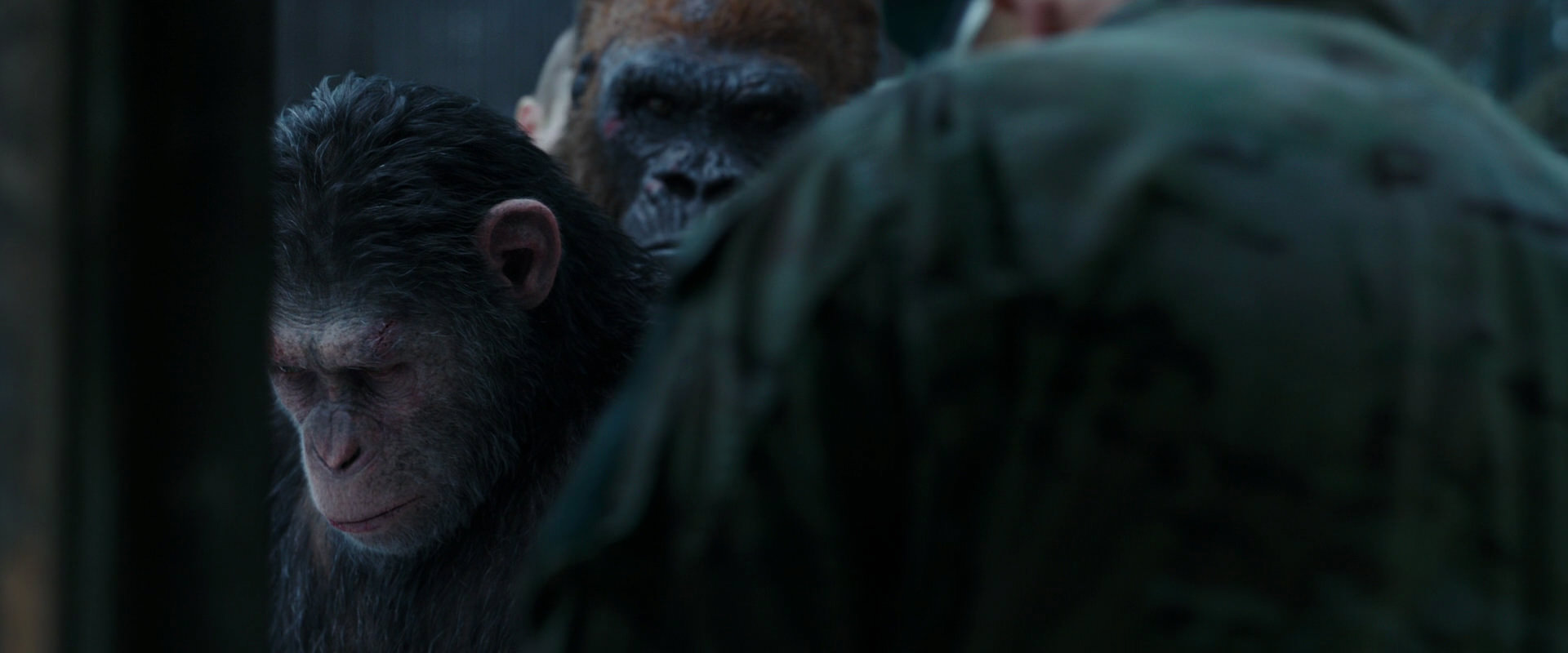 War for the Planet of the Apes (2017) HD screenshot 11633