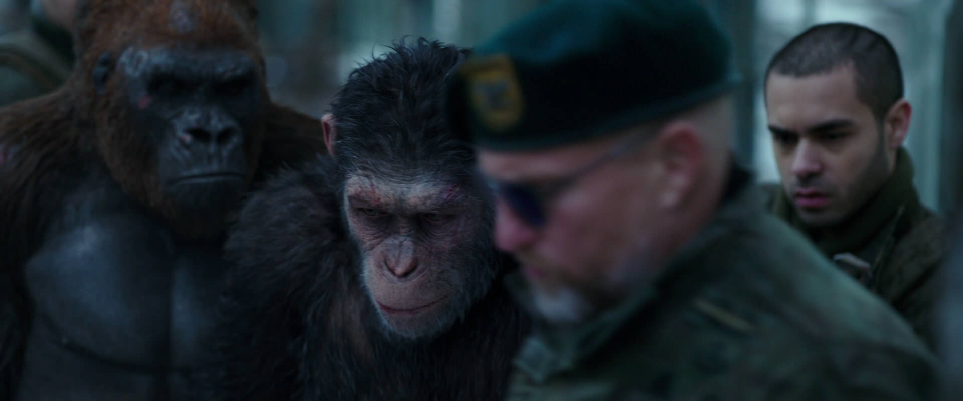 War for the Planet of the Apes (2017) movie still 11635