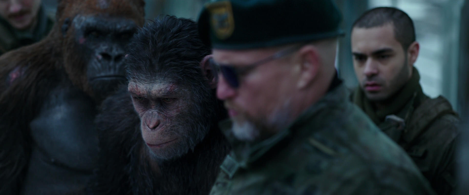 War for the Planet of the Apes (2017) screencap 11637