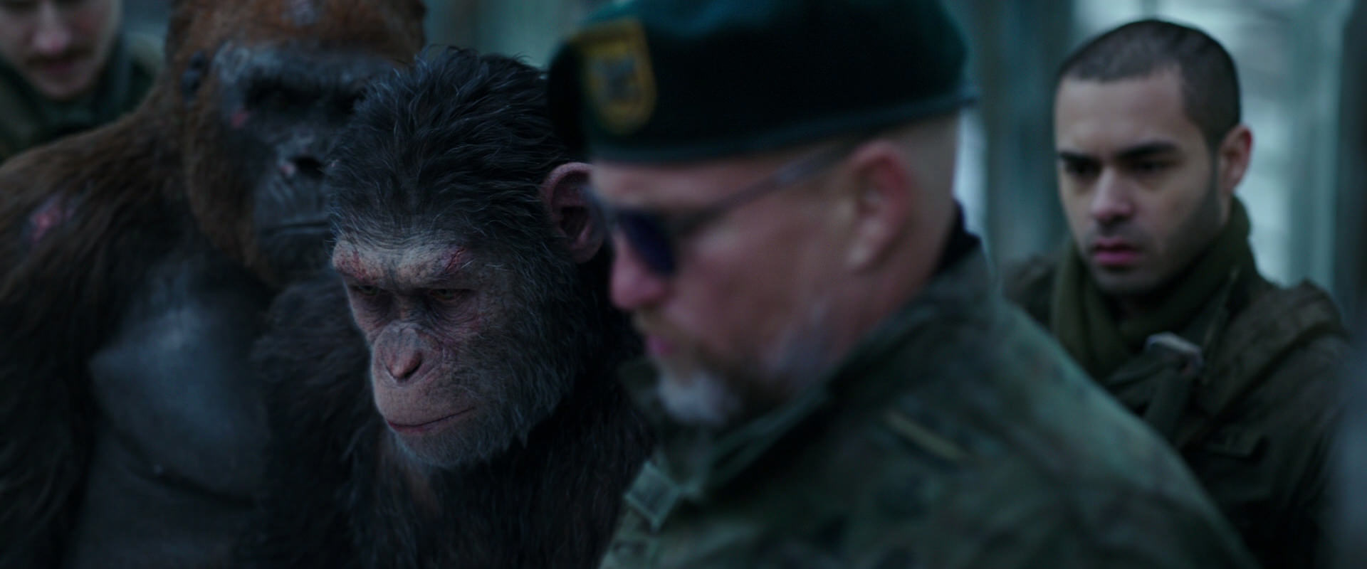 War for the Planet of the Apes (2017) movie still 11638