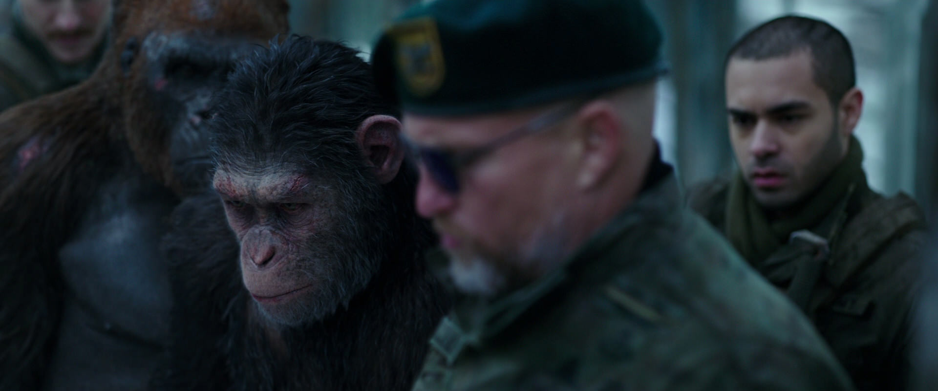War for the Planet of the Apes (2017) HD screenshot 11639
