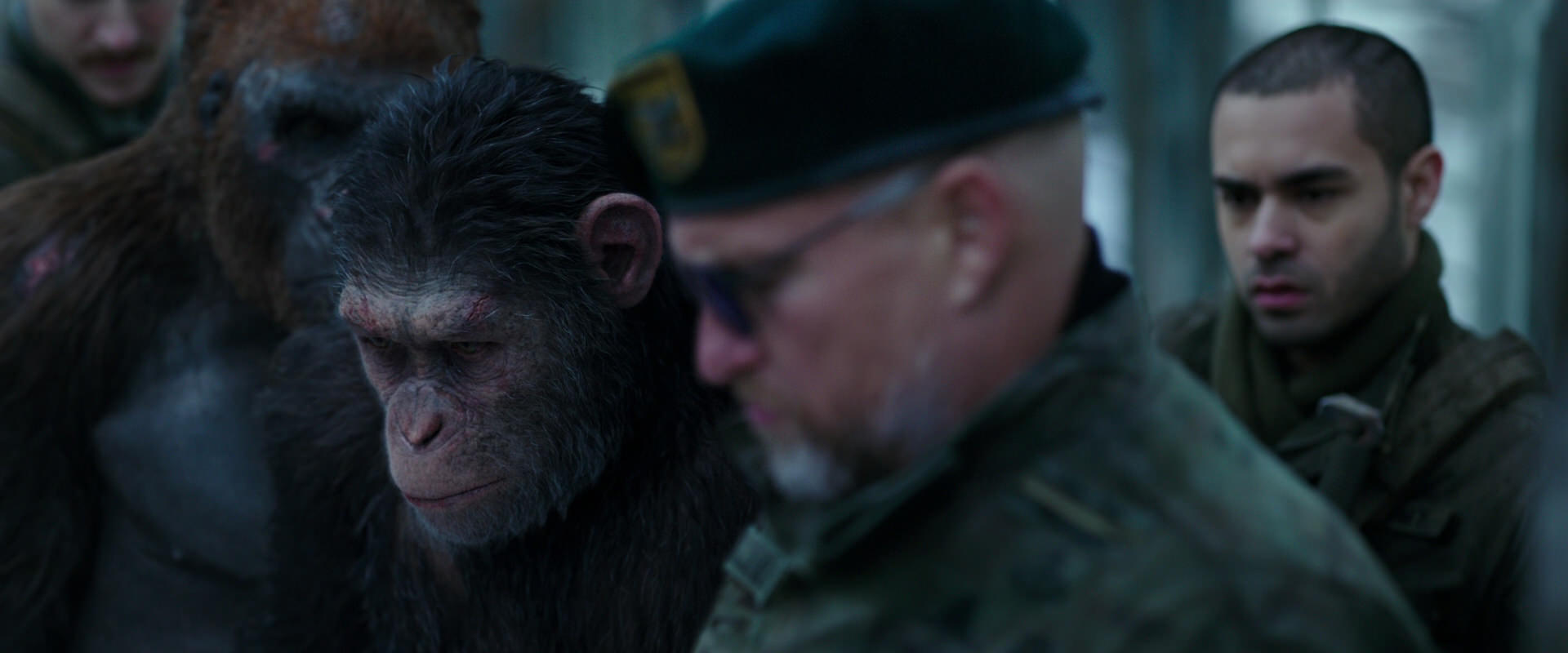 War for the Planet of the Apes (2017) screencap 11640