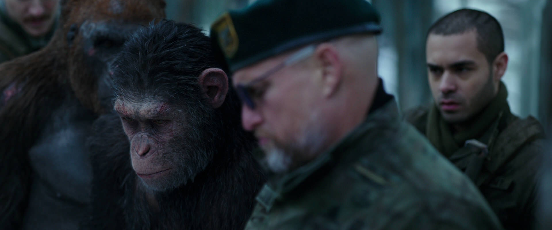 War for the Planet of the Apes (2017) movie still 11641