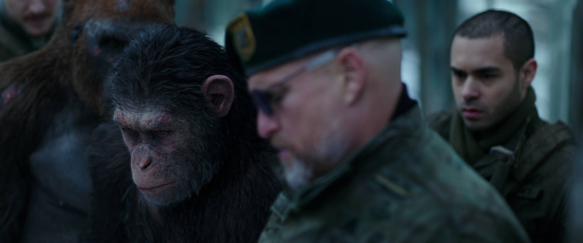 War for the Planet of the Apes (2017) HD screenshot 11642
