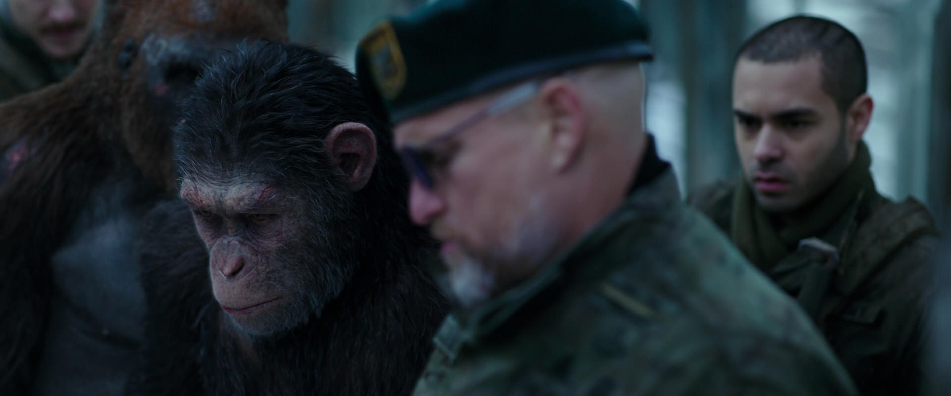 War for the Planet of the Apes (2017) screencap 11643