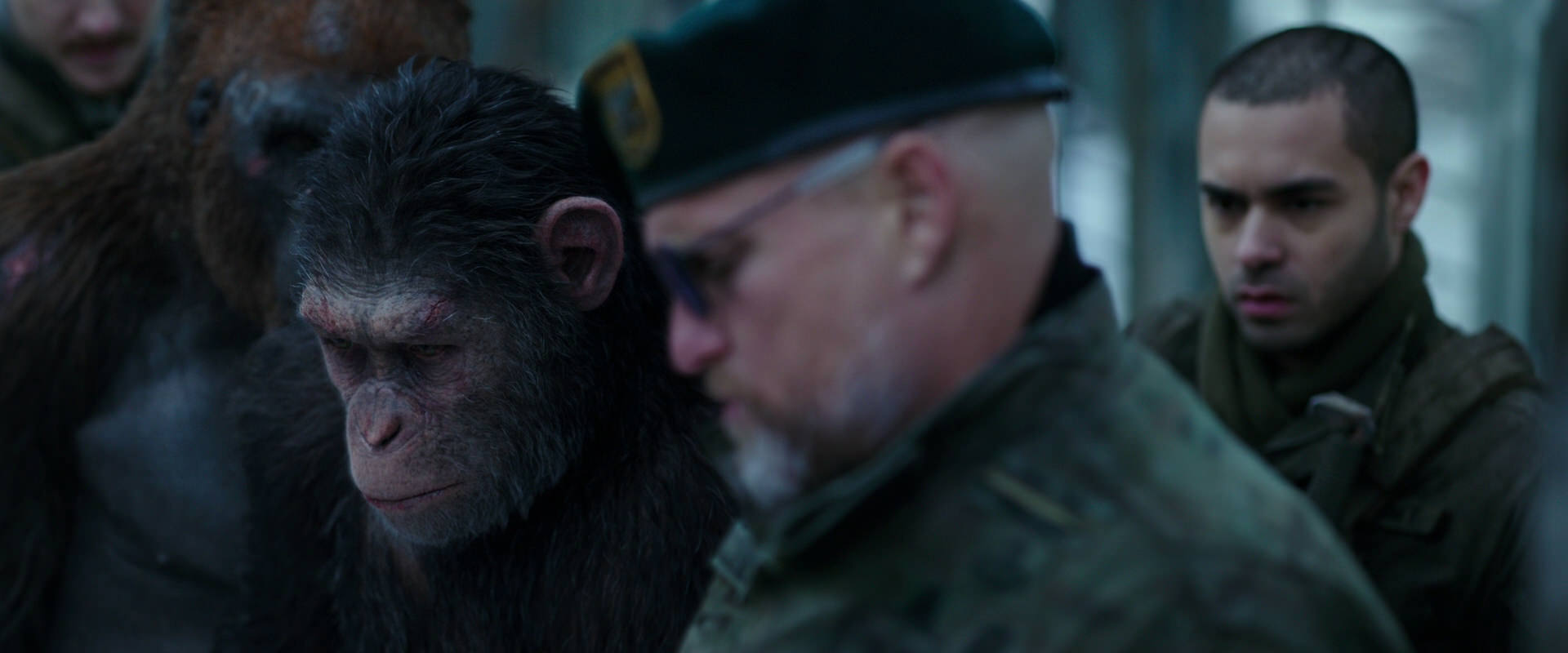 War for the Planet of the Apes (2017) movie still 11644