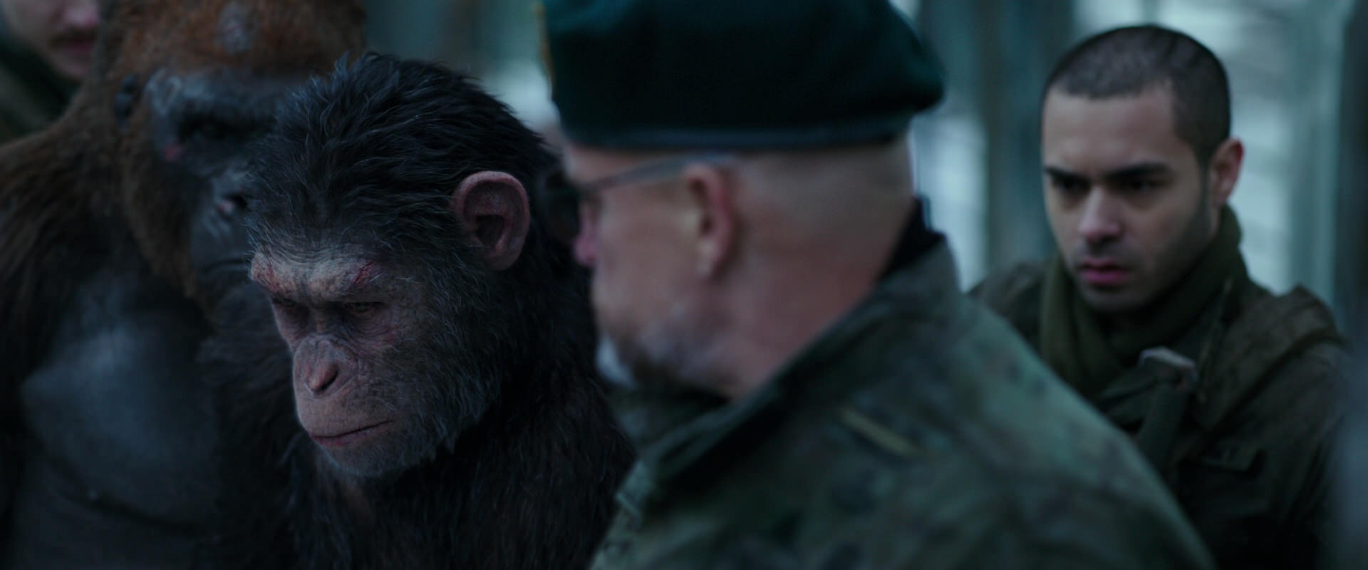 War for the Planet of the Apes (2017) screencap 11646