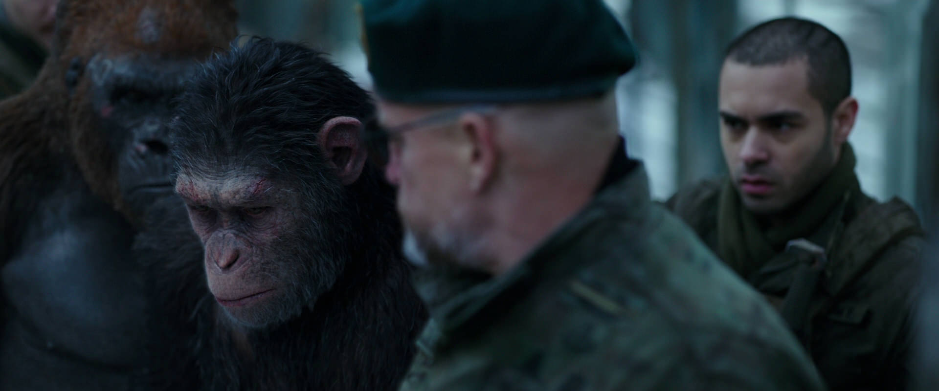War for the Planet of the Apes (2017) movie still 11647