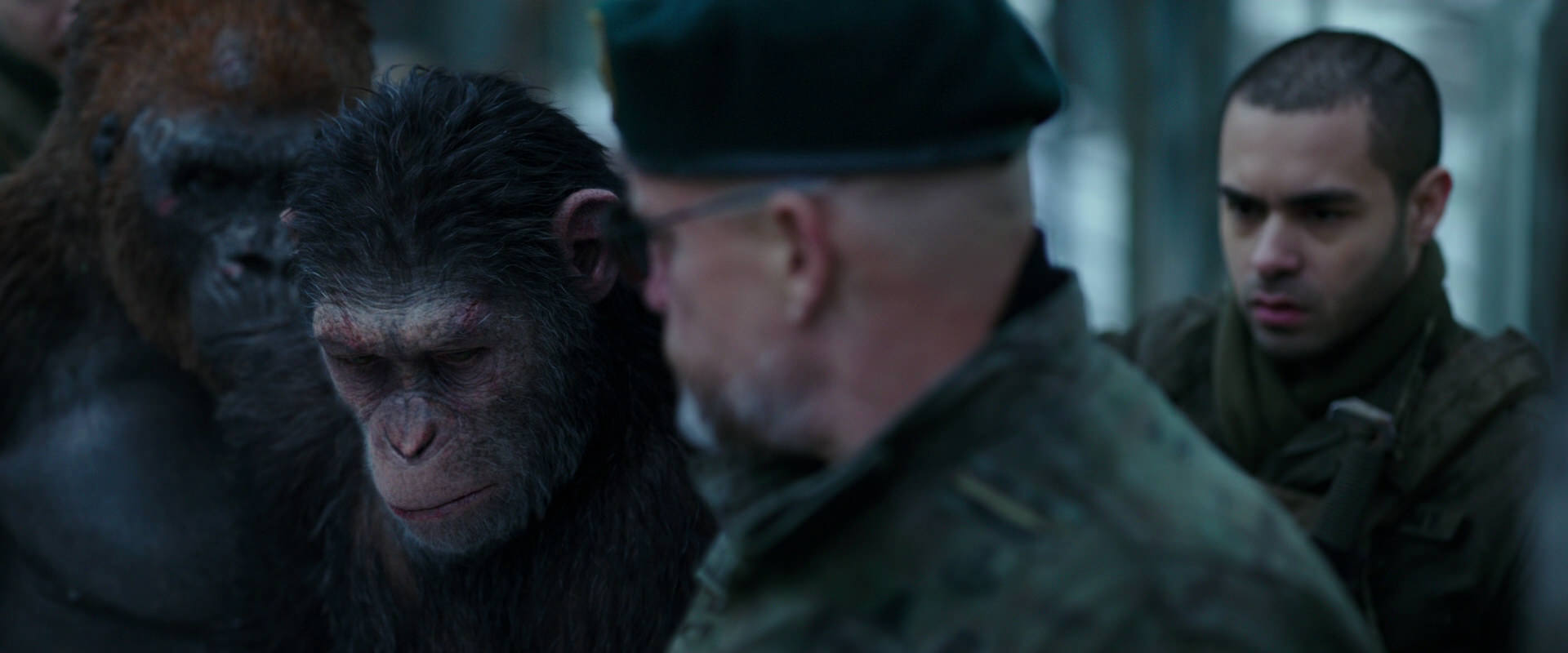 War for the Planet of the Apes (2017) HD screenshot 11648