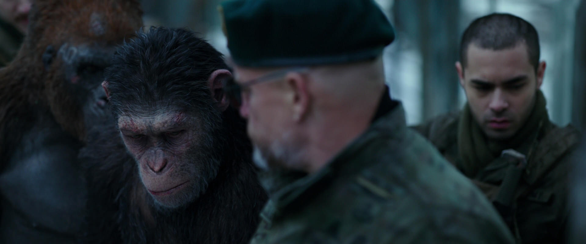 War for the Planet of the Apes (2017) screencap 11649
