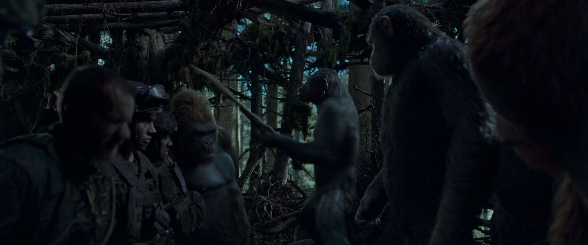 War for the Planet of the Apes (2017) movie still 1165