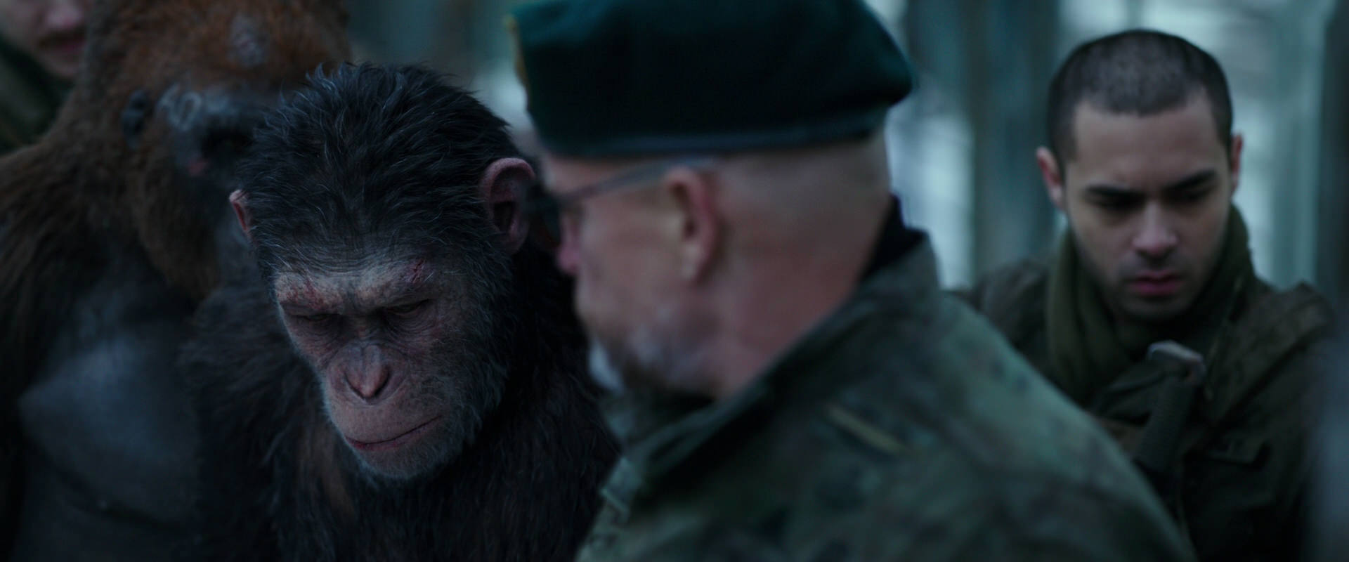 War for the Planet of the Apes (2017) movie still 11650