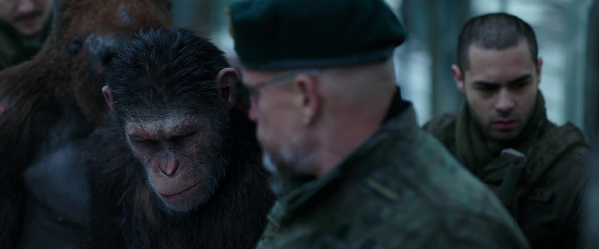 War for the Planet of the Apes (2017) HD screenshot 11651