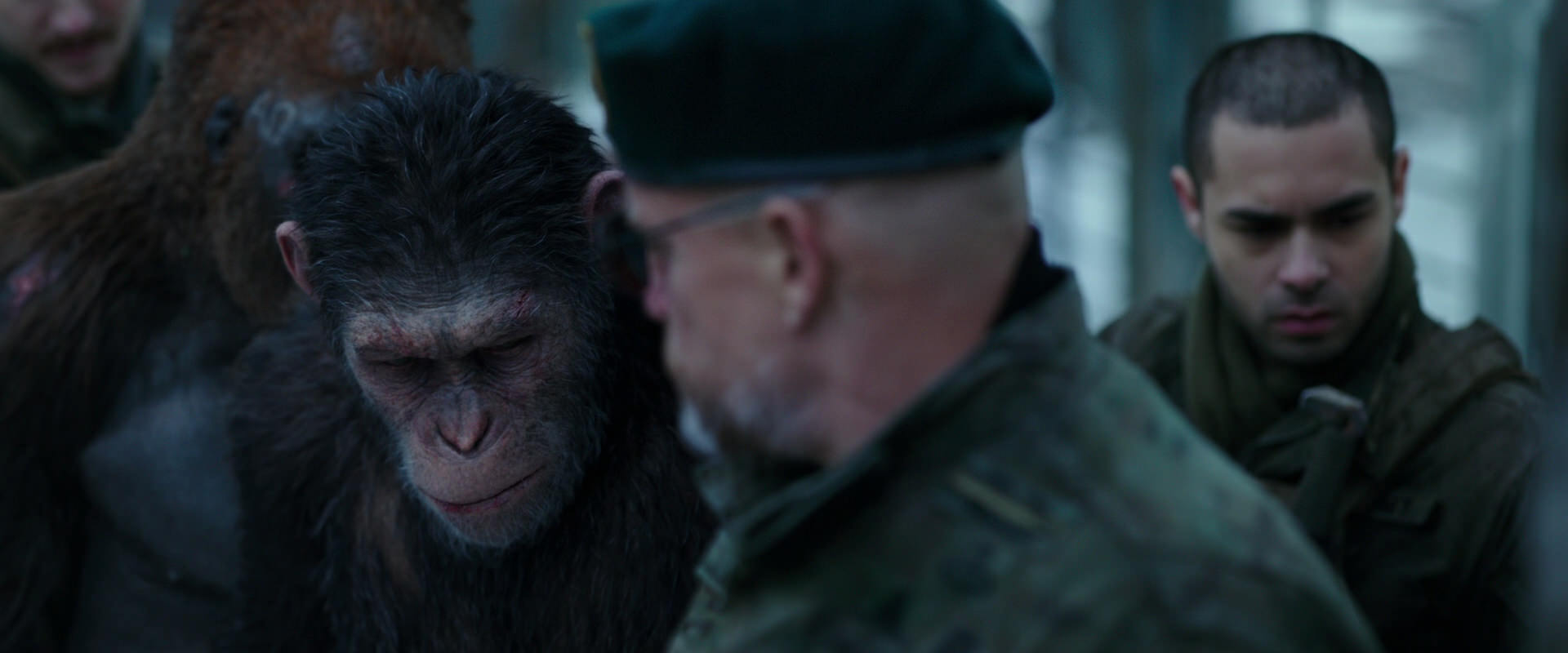 War for the Planet of the Apes (2017) screencap 11652