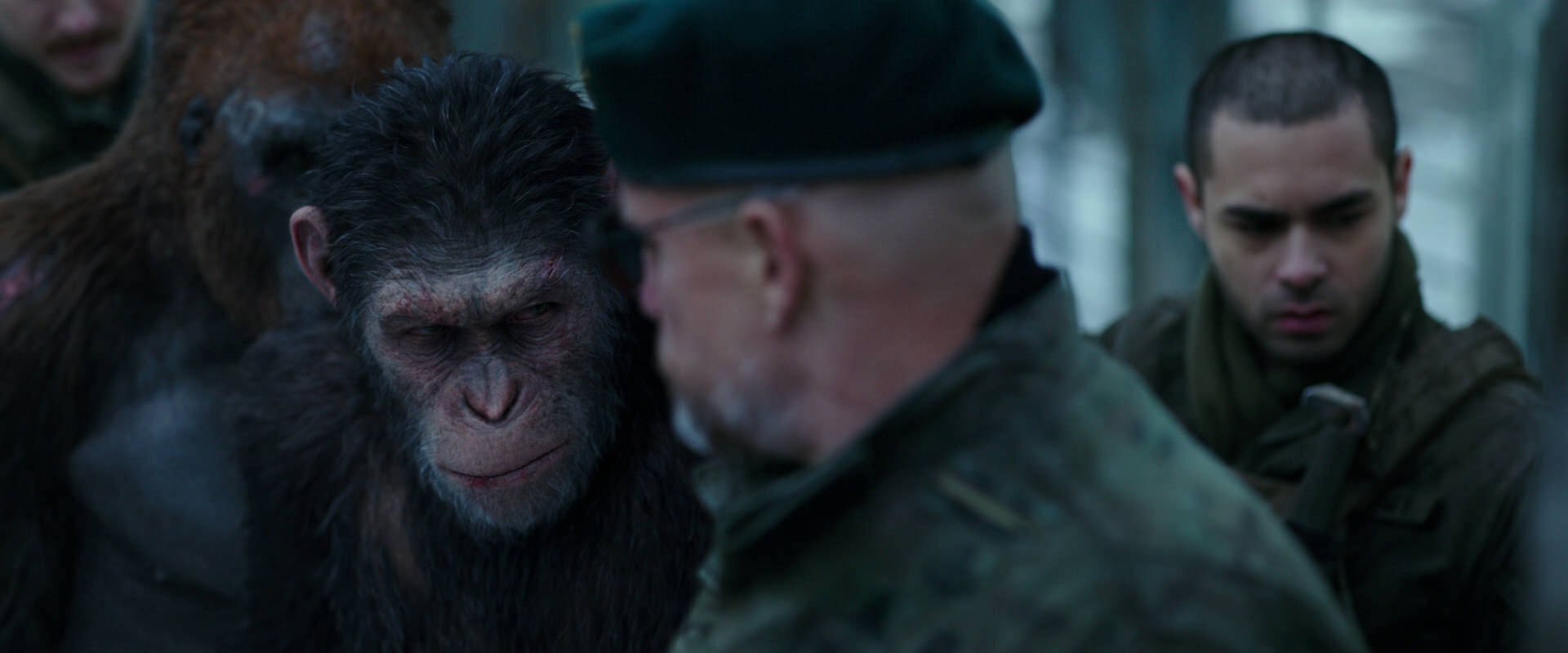 War for the Planet of the Apes (2017) movie still 11653