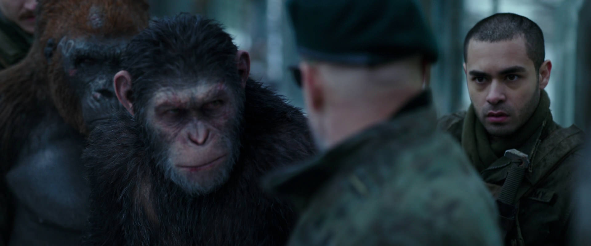 War for the Planet of the Apes (2017) movie still 11656
