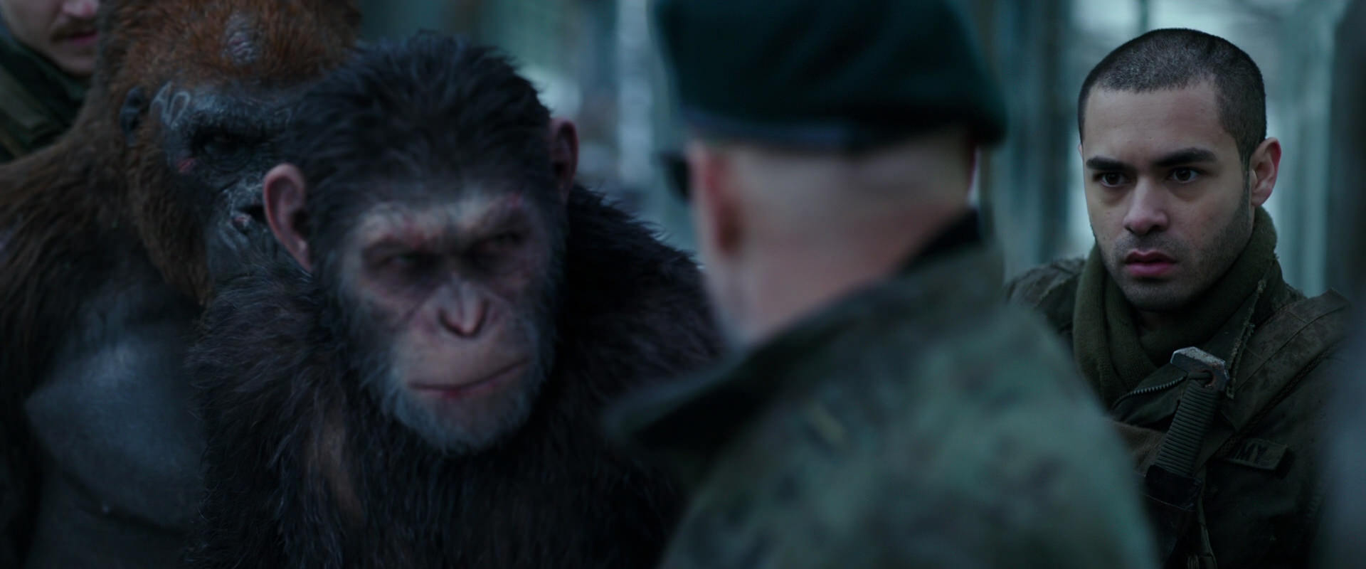 War for the Planet of the Apes (2017) HD screenshot 11657