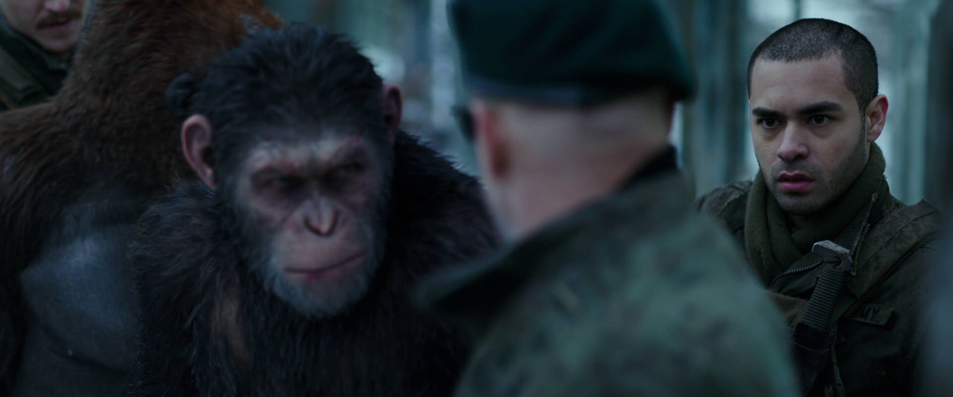 War for the Planet of the Apes (2017) screencap 11658