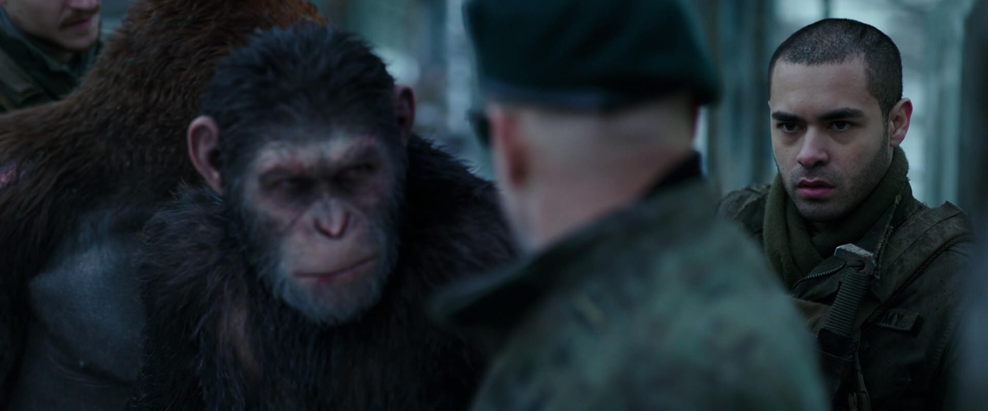 War for the Planet of the Apes (2017) movie still 11659