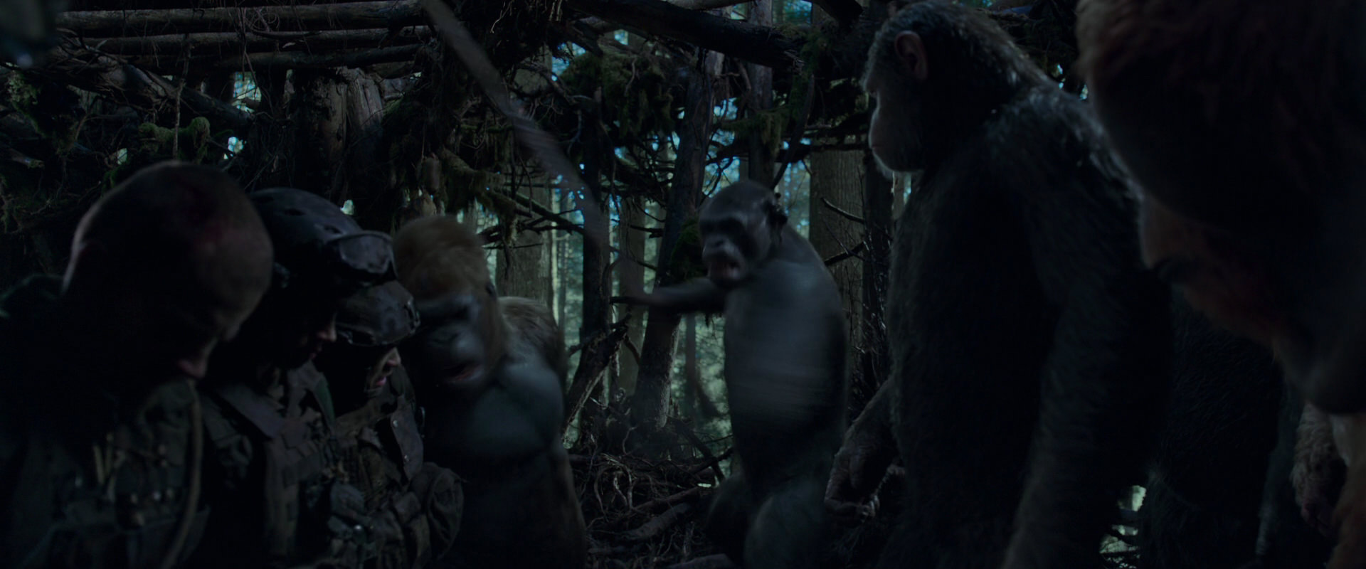 War for the Planet of the Apes (2017) HD screenshot 1166